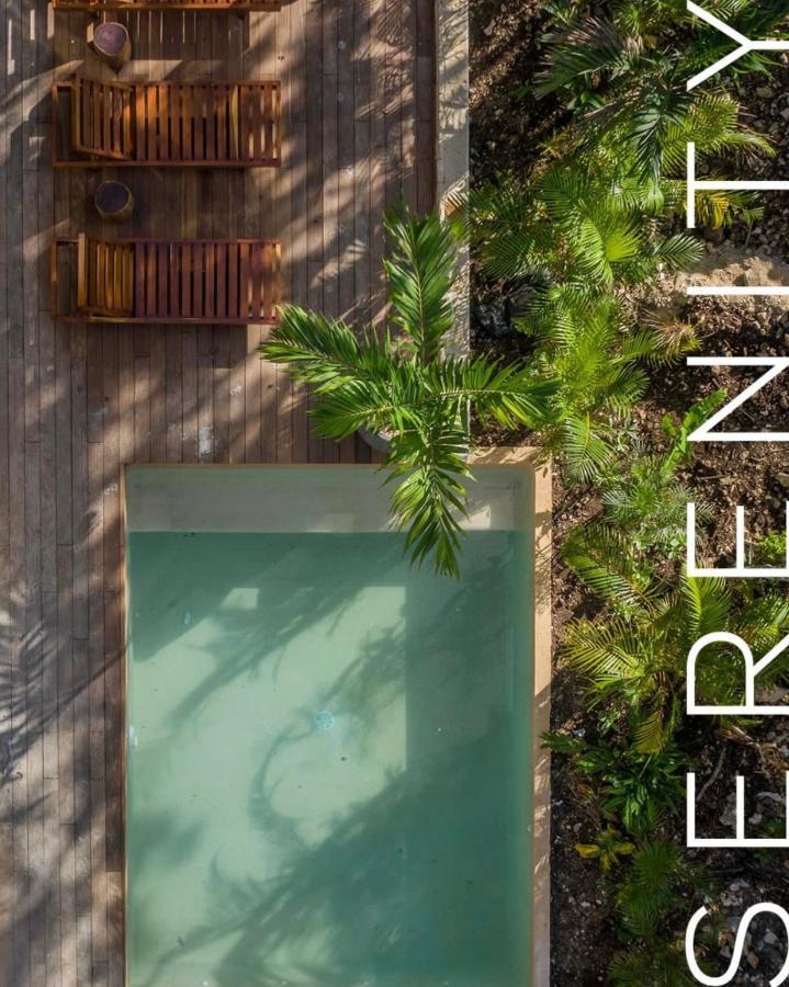 Villa Xuncari En El Corazon De La Selva Tulum Dış mekan fotoğraf
